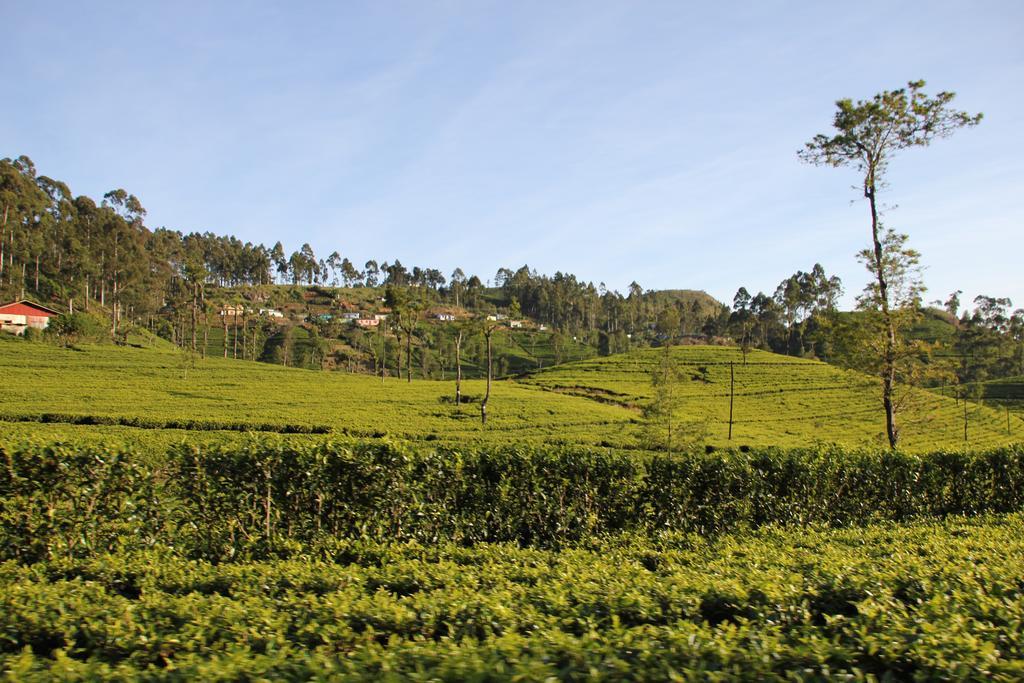 White Home Haputale Bagian luar foto