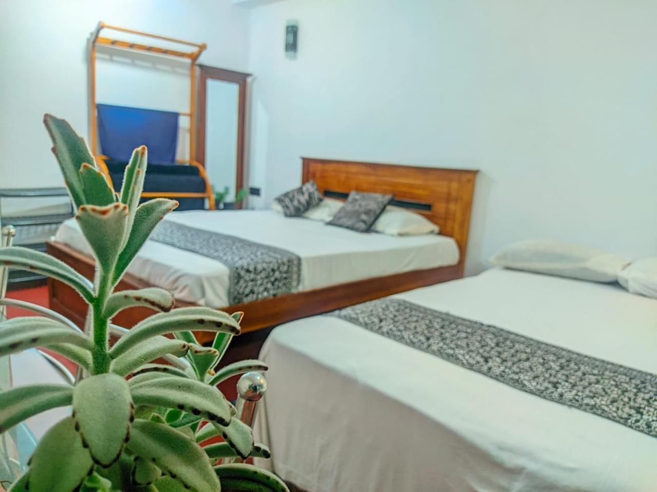 White Home Haputale Bagian luar foto