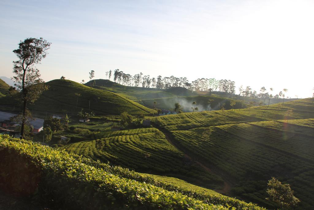 White Home Haputale Bagian luar foto